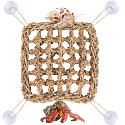 Hermit Crab Climbing Toys,Lizard Seagrass Mat,Hermit Crab Hammock with Suction Cups,Hermit Crab Supplies Decor Habitat,Small Reptile Tank Accessories for Guinea Pigs Hamsters Geckos (Square) - size: Square