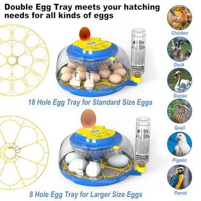 Cieex 18 Egg Incubator for Hatching Chicken, Quails, Ducks, Parrots, Geese with Automatic Egg Turning and Humidity Control, Blue & White ABS Terrarium Incubator