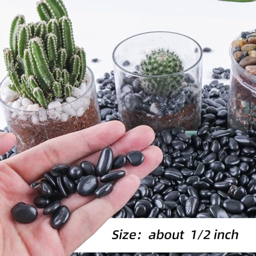 CJGQ 2.4lb 1/4" Small Pebbles Black for Plants,Potting,Succulents Aquarium Fish Tank Vases Decorative Garden Polished Gravel Rocks Stones - color: Black, size: 2.4lb