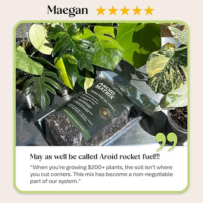 AROID Potting Mix/Premium Soil for Monstera, Philodendron, Alocasia, Anthurium – Chunky, Optimally Aerated Soil – Organic & Ready to Use – Supercharges Root and Foliage Growth (8 QTS) - size: 8 QTS