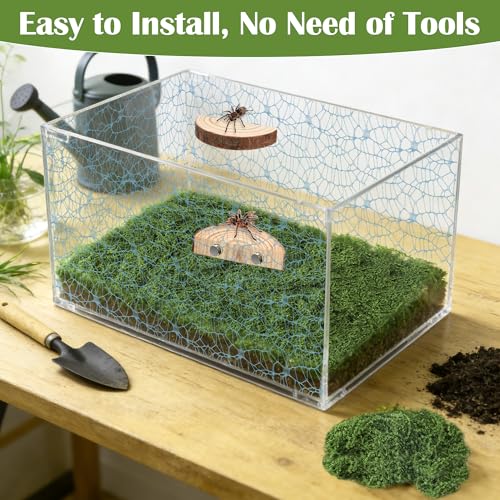 Jumping Spider Habitat Décor Jumping Spider Enclosure Accessory | 2PCS Spider Web, 1 Piece Faux Grass, 2PCS Natural Wood Ledge, 4PCS Strong Magnet for Small Reptile Enclosures