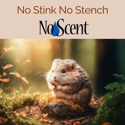 No Scent Small Animal Guinea Pig Cage Cleaner | Hamster & Rabbit Habitat Pet Odor Spray (2 Fl Oz / 59 mL) Pack of 2 - size: 2 Fl Oz (Pack of 2)