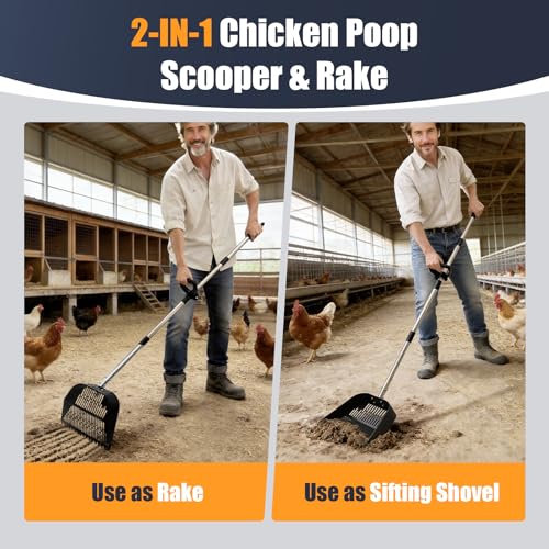 13.5" Wide Chicken Poop Scooper, 2-in-1 Chicken Poop Scoop Rake, Large Capacity Stainless Steel Scoop, Adjustable Handle, for Chicken Coop, Farm & Pet Waste Cleanup - color: 13.5" Wide, size: 13.5" Wide