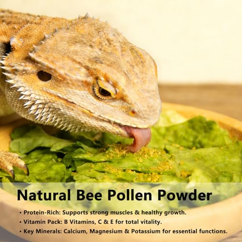 Accretion Bee Pollen for Bearded Dragons 8oz (Powder), Fine Ground Reptile Supplement for Bearded Dragons, Lizards, Turtles, Immune Support and Digestive Aid - size: Powder