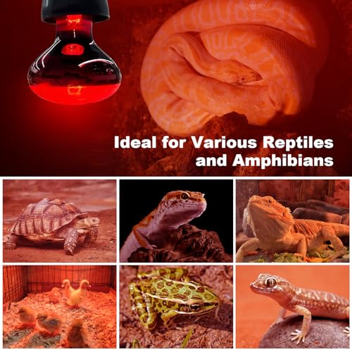 2Pack Infrared Heat Lamp Bulbs, 150W Reptile Heat Emitter Infrared Basking Spot Light, Red Heat Lamp for Chickens Coop Reptile Pets Brooder Use - style: 150W Infrared Bulbs