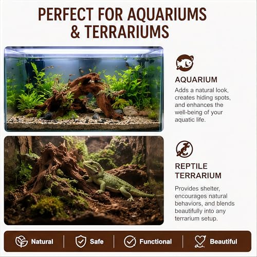 Natural Aquarium Driftwood, 15 to 18 Inch Single Piece, Fish Tank Decor and Aquascaping Wood for Freshwater Aquariums, Reptile Terrarium and Air Plant Display