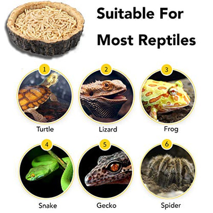 CalPalmy 2 Pack Reptile Water and Food Bowls, Novelty Food Bowl for Lizards, Young Bearded Dragons, Small Snakes and More - Made from BPA-Free Plastic