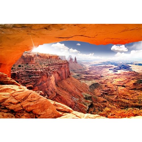 24x12 in Terrarium Backdrop Desert Canyon Stone Reptile Habitat Background | AWERT Sky Sun Mountain Canyon View Polyester Terrarium Background - size: 24x12in/60x30cm
