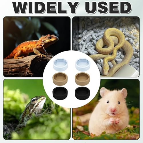 6Pcs Dish Reptile Food Worm Water Feeder, Escape Proof Feeding Bowl for Bearded Dragon Jumping Spider Gecko Lizard Chameleon, Anti-Spill Plastic Mealworm Cup, 2.83 Inch, 3 Colors