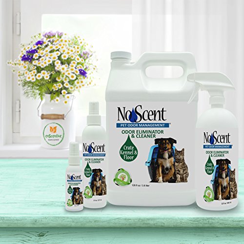 No Scent Crate Kennel & Floor Cleaner for Dog Run, Cat Carrier, Hard Surface Pet Odor & Stain Management (32 Fl Oz / 946 mL) - size: 32 Fl Oz (Pack of 1)
