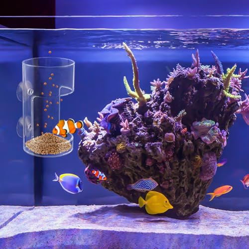 2pcs Fish Tank Feeding Tray w/Suction Cup - Aquarium Fish Feeding Tube | Acrylic Fish Food Holder Automatic Fishing Feeder Aquarium Tank Divider Supplies Breeder Box for Aquarium