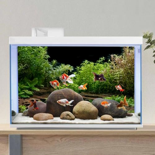 AWERT Aquarium Background River Bed & Lake Aquatic Plant Fish Tank Background Vinyl 30x18 inches - size: 30x18in/75x45cm
