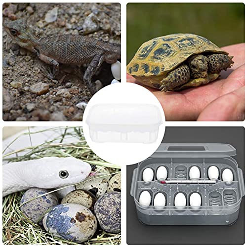 Reptile Egg Incubator Professional Hatcher Hatching Box Case Tray Plastic Breeding Incubator for Hatching Snake,Lizards, Reptiles,Gecko(12 Slots Without Thermometer)