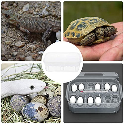 Still Awake Reptile Egg Incubator Professional Hatcher Hatching Box Case Tray Plastic Breeding Incubator for Hatching Snake,Lizards, Reptiles,Gecko(12 Slots with Thermometer)