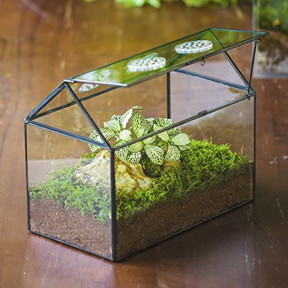 NCYP Glass Terrarium with Lid and Air Holes for Snails - 10.2" x 5.9" x 8.2" House Shape Geometric Clear Terrarium, Indoor Tabletop Decor Black (Plants Not Included)