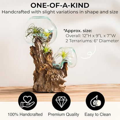 Cape Craftsmen 12" Hand-Blown Blue Tinted Bubble Glass On Natural Teak Driftwood Terrarium Kit | Home Décor Indoor Planter with Stand | Pot for Succulent and Plants - size: Large (With Stand)