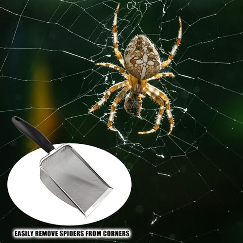 2PCS Stainless Steel Reptile Scooper Set - Fine Mesh Substrate Sifter Scoops for Litter Cleaning, Metal Sand Shovel Combo for Efficient Corner Cleaning and Substrate Sifting in Sand Bedding
