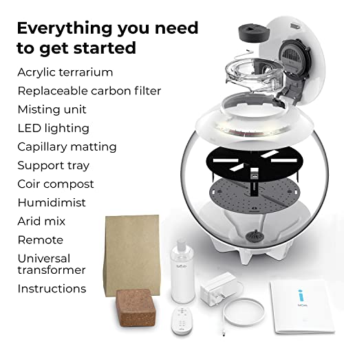 biOrb AIR 30, Fully Automated Terrarium for Arid, Temperate, or Tropical Plants, Gray - color: Grey