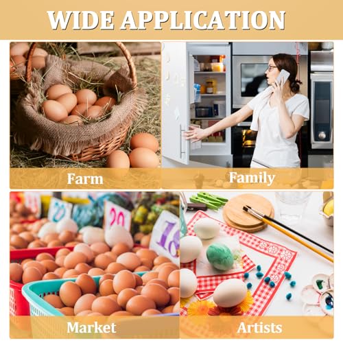 40PCS Plastic Egg Cartons 18 Count,Clear Egg Cartons Cheap Bulk | Reusable Egg Holder for Family,Pasture,Farm Markets Display - Medium Egg Containers 3x6 Grids - style: 3x6Grids-40count