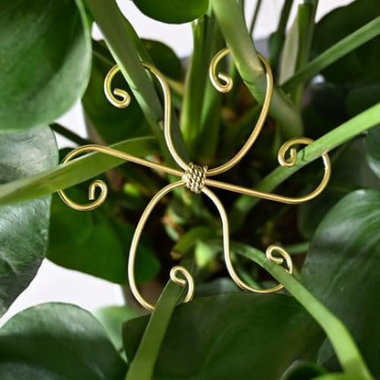 5PCS Monstera Plant Stem Support Stakes - 5.5 in Metal Supports | Monstera & Fishbone Cactus Stem Holder -Flexible Indoor Plant Support, Ideal Gardening Gifts & Accessories for Healthy Growth - size: 5.5 x 5.5 inches