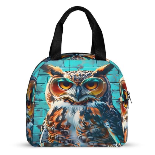 Funny Owl with Sunglasses Lunch Bag for Women Men | Insulated Lunch Box Leakproof Food Meal Containers Reusable Foldable 6L Capacity Lunch Tote Bags for Work Picnic Travel - color: Style 6