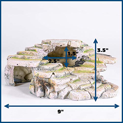 PENN-PLAX Reptology Shale Scape Step Ledge & Cave Hideout – Basking Area - Decorative Resin for Aquariums & Terrariums – Great for Reptiles, Amphibians, and Fish – Medium - size: Medium