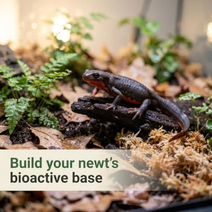 Newt/Salamander Bioactive Kit - 14qt Premium Bioactive Substrate + 4qt Leaf Litter + 4qt Sphagnum + Charcoal Iso-Flats Hide + 25 Dwarf Purple Isopods + 8oz Temperate Springtails