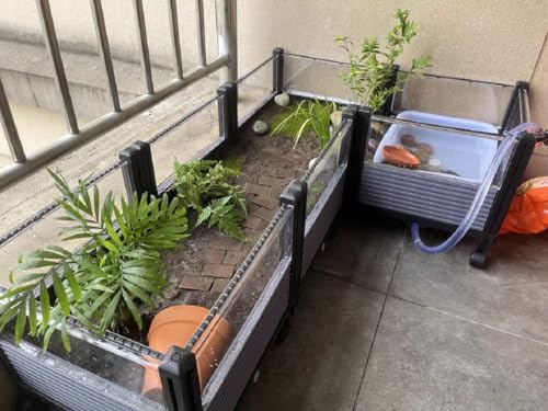 Large Tortoise Habitat Enclosure for Yellow-Margined