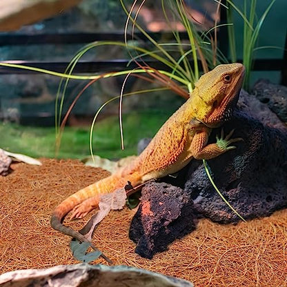 3 Rolls Reptile Carpet 24x48 Inch Coconut Fiber Mat for Tank Bedding | Natural Coconut Fiber Reptile Carpet Liner Flooring, Absorbent & Reusable For Bearded Dragons, Tortoises, Lizards & Geckos - size: 3 Pcs (24X48in)