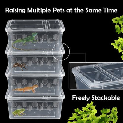 6 Pack Reptile Feeding Box Breeding Box Transparent Hatching Container Plastic Feeding Box for Small Reptiles Amphibians Spiders Scorpions Geckos Tortoises Treefrogs (Small Size)