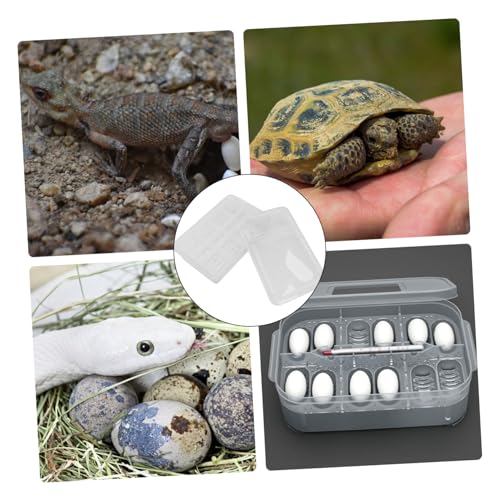 DECHOUS 20grids Hatchery Box for Reptiles Professional Incubation Box Easy to Clean for Snakes Lizards Pets