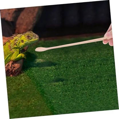 YARNOW 2Pcs Pet Food Spoon for Reptiles Long Handle Lizard Feeding Tool Comfortable Grip for Small Animal Feeding Lightweight Versatile Feeding Scoop