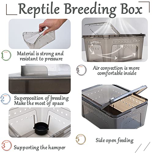 Hamiledyi 2PCS Reptile Feeding Box Snake Breeding Box Transparent Animal Habitat Cage Portable Plastic Turtle Transport Container for Bearded Dragon Lizard Spider Frog Scorpion Gecko 12.6 x 8.6 x 5.9