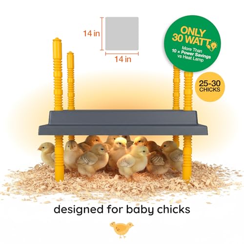 Hatching Time Warmzy 14"x14" Chick Heating Plate – Safe 30W Chicken Coop Heater for 25–30 Chicks with Adjustable Legs | Gentle Low-Heat Brooder Plate for Chicks, Durable Fire-Resistant Chicken Heater - size: 14'"x14" for 25-30 chicks
