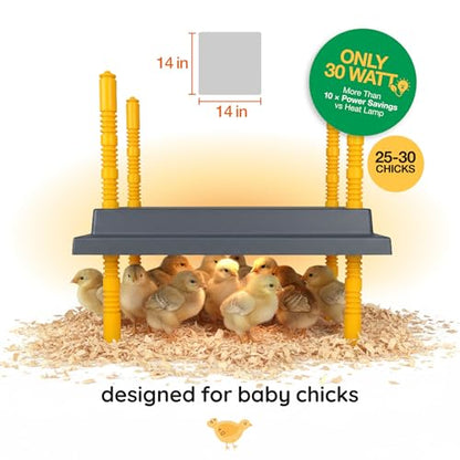 Hatching Time Warmzy 14"x14" Chick Heating Plate – Safe 30W Chicken Coop Heater for 25–30 Chicks with Adjustable Legs | Gentle Low-Heat Brooder Plate for Chicks, Durable Fire-Resistant Chicken Heater - size: 14'"x14" for 25-30 chicks