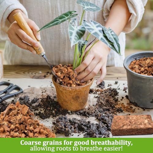 Riare 8 Pack Organic Coco Coir Chips for Plants, 8.8 lb Coconut Husk Bricks | Low EC & pH-Balanced Coco Husk Substrate with Drainage & Aeration, High-Expansion Mulch for Landscaping, Orchids & Soil Mix - size: 8 Pack