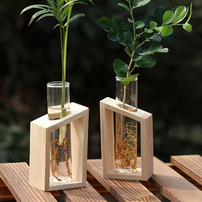 4-Pack Glass Test Tube Vases for Plant Propagation Hydroponic Planter Tubes Indoor Flower Display Terrarium Plant Holders 4.33In