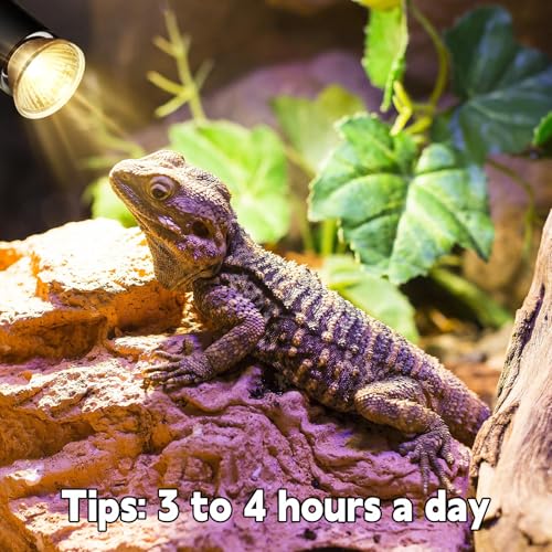 Reptile Heat Lamp, UVA UVB Heat Lamp Bulbs, E26 Turtle Heat Lamp Bulbs 50W 4Pack, Basking Light for Bearded Dragon, Lizard, Snake and Frog - color: 4pcs 50, size: 50 4PCS