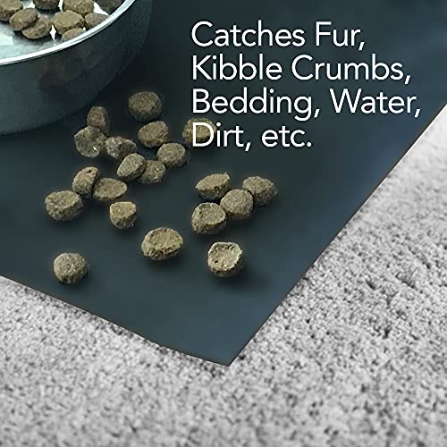 RESILIA Under Pet Cage Mat for Bird Cages, Reptile Aquariums, Dog Kennels, Water-Resistant Pad for Carpeted Floors and Surfaces, 30 Inches x 48 Inches, Clear - color: Clear