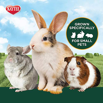 Kaytee All Natural Timothy Hay Plus Marigolds for Guinea Pigs, Rabbits & Other Small Animals, 24 Ounce (Pack of 2) - size: 1.5 Pound (Pack of 2)