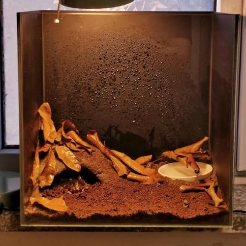 BNOSDM Reptile Soil Substrate Fluffy Small-Strand Reptile Substrate and Snake Bedding Clean Natural Terrarium Bedding for Lizards Snakes Tortoises Tarantulas - color: 1.32gal