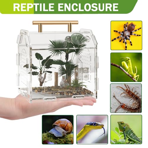 Acrylic Jumping Spider Enclosure with Magnetic Lock | 3mm clear acrylic magnetic front door & feeding port for escape-proof care