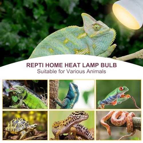 150W Reptile Heat Lamp Bulb 2 Pack,Basking Spot Lamp Bulb for Reptiles & Amphibians，Reptile Daylight Heat Bulb for Bearded Dragon, Lizard, Turtle - size: 150*2