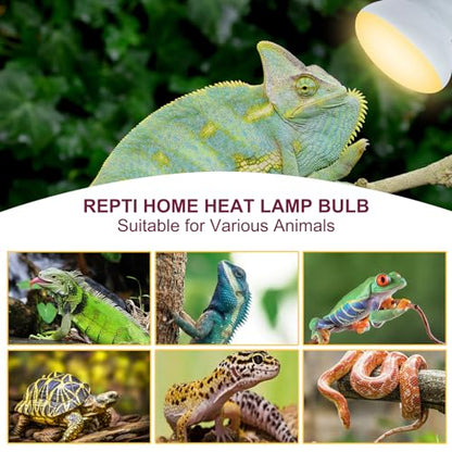 150W Reptile Heat Lamp Bulb 2 Pack,Basking Spot Lamp Bulb for Reptiles & Amphibians，Reptile Daylight Heat Bulb for Bearded Dragon, Lizard, Turtle - size: 150*2