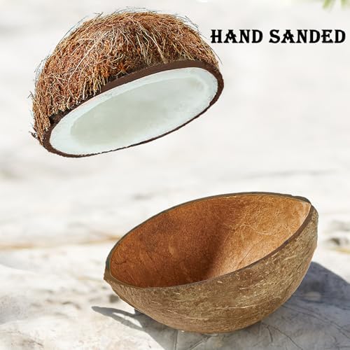 Hamster Hideout Wooden House Coconut Hut Hamster House Bed for Dwarf Gerbil Mouse Mice Rat Small Animals Reptiles