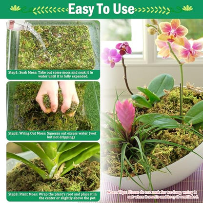 Riare 2.8LB Premium Sphagnum Moss for Plants- 55QT Natural Dried Plant Moss | Moisture Retention & Drainage Orchid Moss for Repotting, Succulents, Carnivorous, Ferns, Green Moss for DIY Craft, Reptiles - size: 55 QT(Appx.2.8lbs)