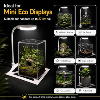 Jumping Spider Enclosure LED Light, 360 Degree Full Spectrum Reptile Enclosure Lights, Jumping Spider Enclosure Accessories for Potted Plants Succulents Miniature Landscape. (White) - color: White