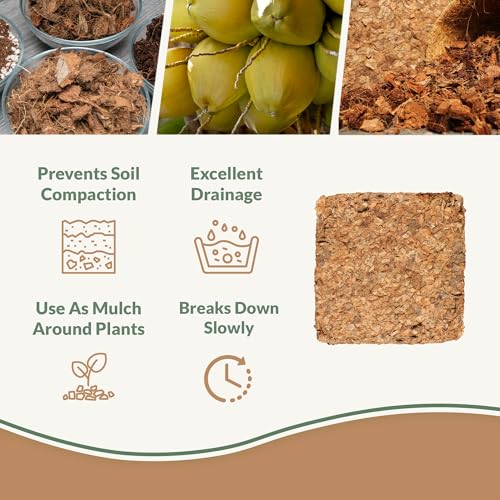 Coco Chips Mulch Brick (10lbs) - 100% Organic Mulch Medium for Garden Beds, Landscaping, & Outdoor Plants - Compressed Coconut Husk Chips - Retains Moisture in Potting Soil & Containers - color: Coco Chips (10lbs)