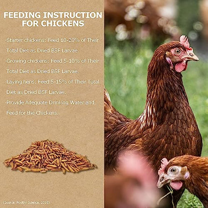 1LB Non-GMO Dried Black Soldier Fly Larvae for Chickens, Superior Calcium Boost, Better Than Dried Mealworms, Poultry Feed Ideal for Molting & Laying Hens, Wild Birds, Ducks | Top Grade BSF - size: 1 Pound (Pack of 1)