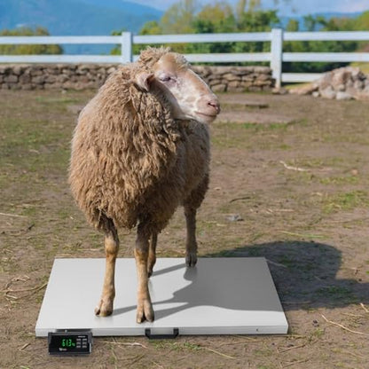 TUFFIOM 1100Lbs x 0.2Lbs Postal Digital Livestock Scale, Electronic Stainless Steel Platform Heavy Duty Vet Animal Scale,Dog Pig Goat Sheep Scale, Silvery - color: Silver